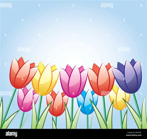 Vector Bunch Of Colorful Tulips Stock Vector Image Art Alamy