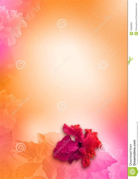 Pink And Orange Backgrounds Wallpapersafari