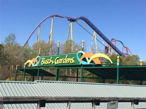 Insider Secrets For Visiting Busch Gardens Williamsburg Va Busch