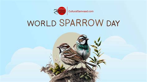 World Sparrow Day विश्व गौरैया दिवस Cultural Samvaad Indian