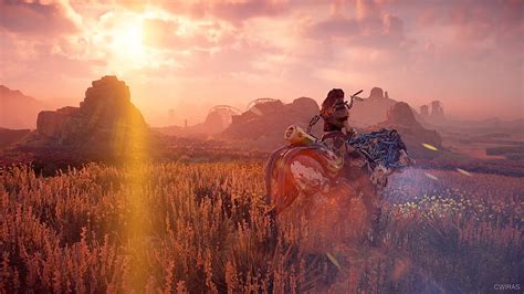 Horizon Zero Dawn Horizon Zero Dawn PlayStation PlayStation 4 Sony