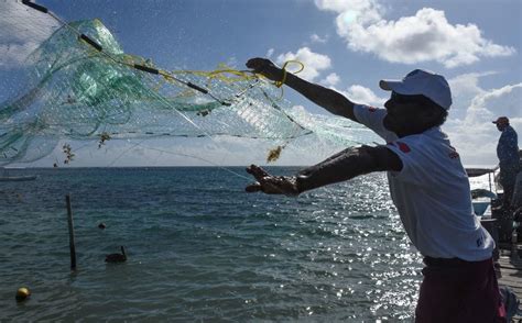 Sader Anuncia Premio A La Pesca Y Acuacultura Sustentable En M Xico