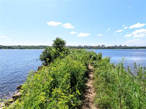 Река Шексна (75 фото)