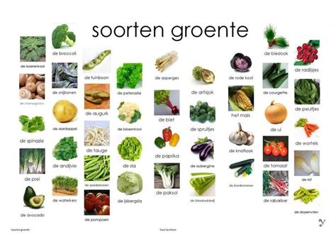 A Poster With Pictures Of Different Types Of Vegetables And Their Names