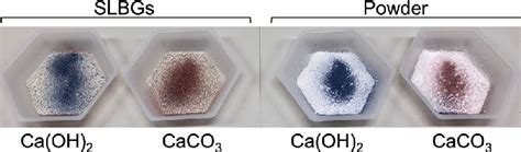 Detection of carbonation of Ca(OH) 2 using a pH indicator. SLBGs ...