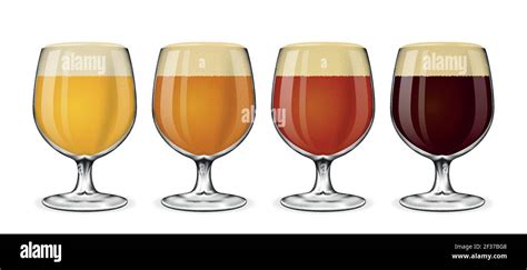 Beer Glass Vector Set Lager And Ale Amber And Stout Glasses Of Beer On White Drink Beer In