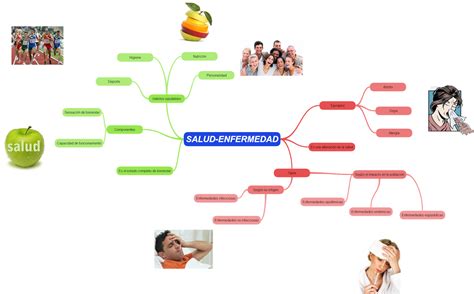 Mapa Conceptual De Salud Y Enfermedad Png Dato Mapa Porn Sex Picture