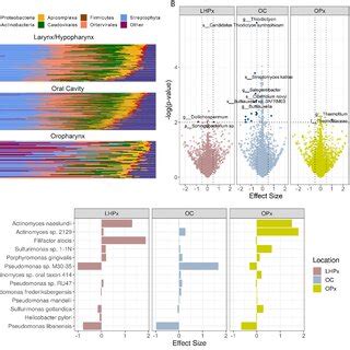 A Stacked Bar Plot Showing The Relative Abundance Of Phyla In Each