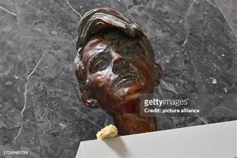 317 Lmu Munich Stock Photos High Res Pictures And Images Getty Images