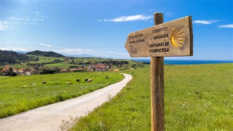 Las Rutas Del Camino De Santiago José Cárdenas