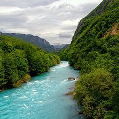 Milan Rapaić Photographer Profile -- National Geographic Your Shot