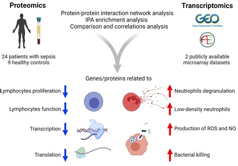 Frontiers Combined Transcriptome And Proteome Leukocytes Profiling