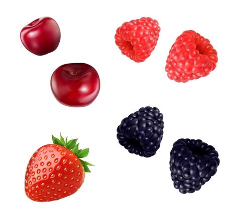 Strawberry Raspberry Cherry And Blackberry Berry 11153734 Vector Art