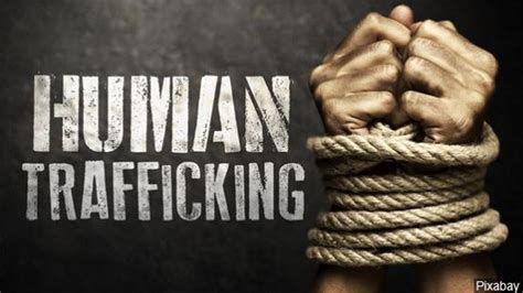 5 Ways You Can Help To End Human Trafficking California Business Journal