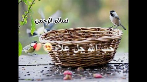 حًيَآتٌيَ کْلَهّآ لَلَهّ 🦋🌸الوصف بارك الله فيكم 🌸🦋 Youtube