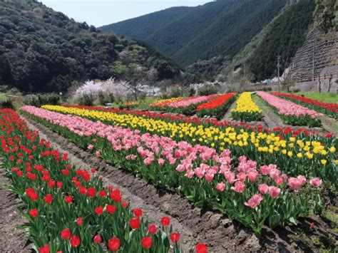 広川町 わかやまlife