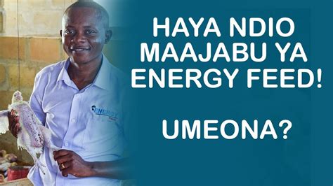 Kuku Wenye Maendeleo Safi Bila Matumizi Ya Madawa Bali Ni Energy