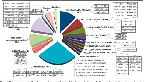 Figure 1 From Diagnosis And Management Of Aml In Adults 2017 Eln