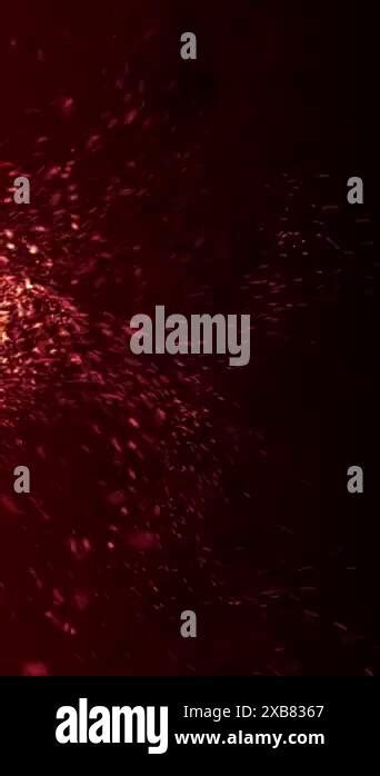 Vertical Video Burning Red Hot Sparks Background Animation Fiery Red Sparks Floating Left To