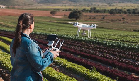 CIA Agricoltori Italiani Intelligenza Artificiale In Agricoltura