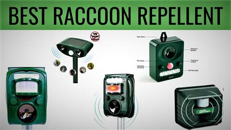 10 Best Raccoon Repellent With Price Unbiased Review Best Of 2020