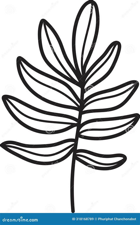 A Leafy Plant With A Black Outline Stock Vector Illustration Of