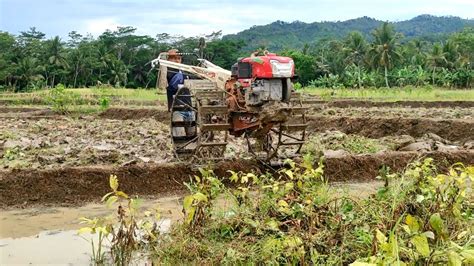 Traktor Sawah Quick G Zeva Bekerja Singkal Lahan Tanah Lengket