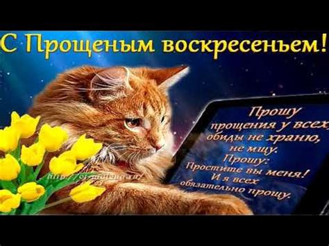 Прощеное Воскресенье! Бог Простит! Красивая Музыкальная Открытка! - YouTube