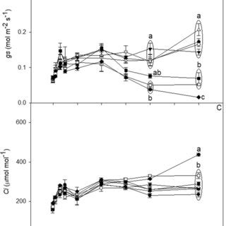 Effects Of Salinity And Mm Nacl On A Stomatal Conductance