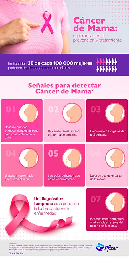 Cáncer De Mama En Ecuador Desafíos Y Esperanzas En La Prevención Y