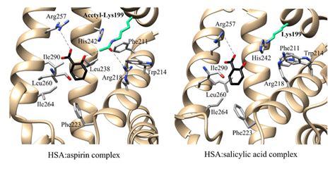 Structural Environment Of The Hsaaspirin Complex Pdb Id 2i2z 97