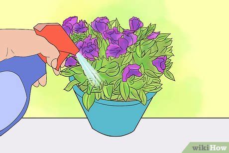 3 Ways to Grow Lisianthus - wikiHow Life