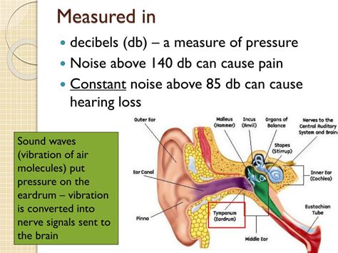 Ppt Noise Pollution Powerpoint Presentation Free Download Id 1936549