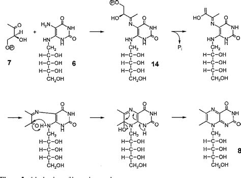 Vitamin B2 Structure