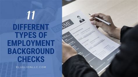 Different Types Of Employment Background Checks Blue Lion