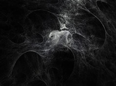 🔥 [67+] Spider Web Backgrounds | WallpaperSafari