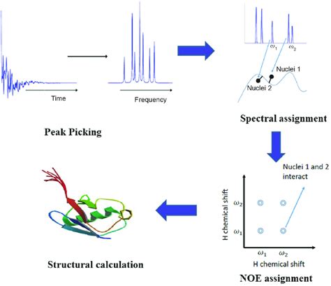 Color Online The Workflow Of The Nmr Protein Structure Determination