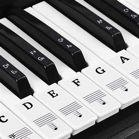 Buy Natuce Piano Key Stickers For Keys Music Piano