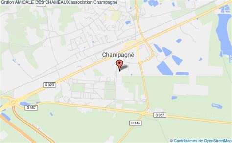 Amicale des chameaux association Combat Champagné