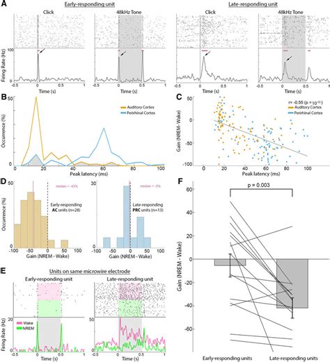 Response Latency Better Predicts Attenuation Than Anatomical Region