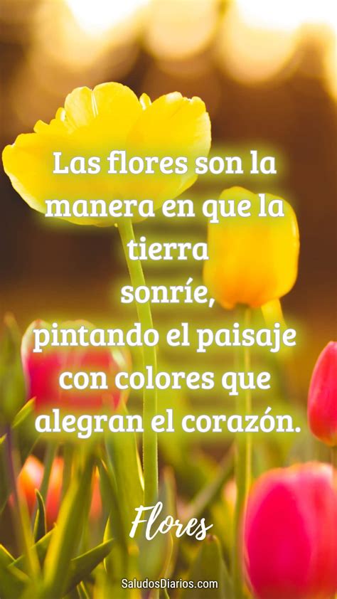 Tulipanes Brillantes Madre Tierra Flores Frase Saludos Diarios