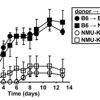 NMU Promotes Autoantibody Mediated Arthritis Serum From Arthritic