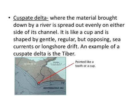 Deltas Types Formation Case Studies