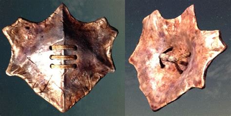 Chitin Shield By Isaac77598 On Deviantart