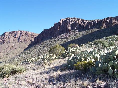 Southern New Mexico Explorer: Little Florida Mountains