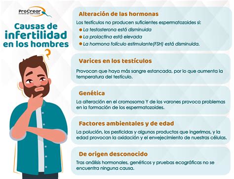 Infertilidad Masculina Qu Hacer Ante Problemas De Calidad Del Semen