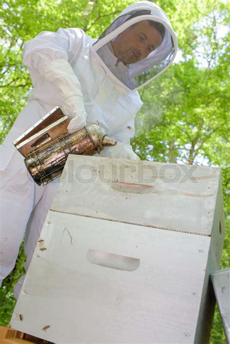 Beekeeper with smoker | Stock image | Colourbox