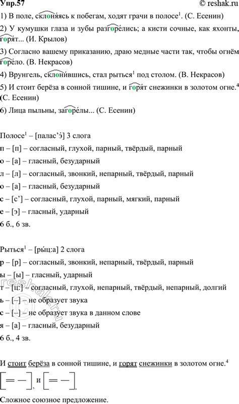 (Решено)Упр.57 Часть 2 ГДЗ Быстрова Кибирева 5 класс по русскому языку