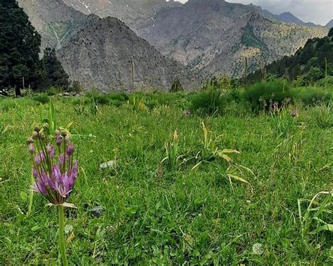 THE BEST Things to Do in Tursunzade Right Now (with Photos)