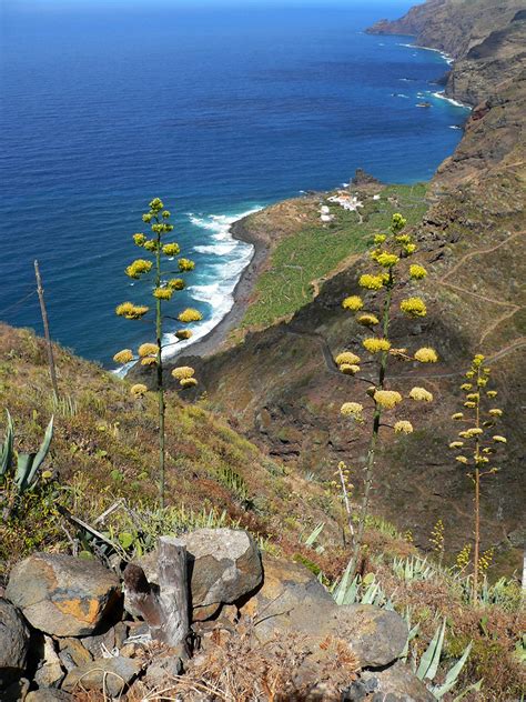 Costa Del Tablado La Palma Blick Auf La Fajana Nordk St Geograf